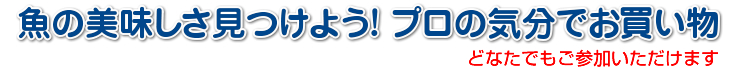 魚の美味しさを見つけよう
