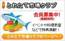 とれたて市場クラブ