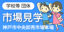 市場見学会
