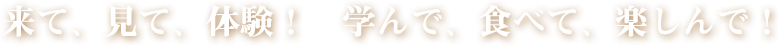 来て、見て、体験！学んで、食べて、楽しんで！