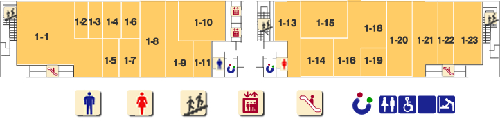 ���X�P�e�l�`�o